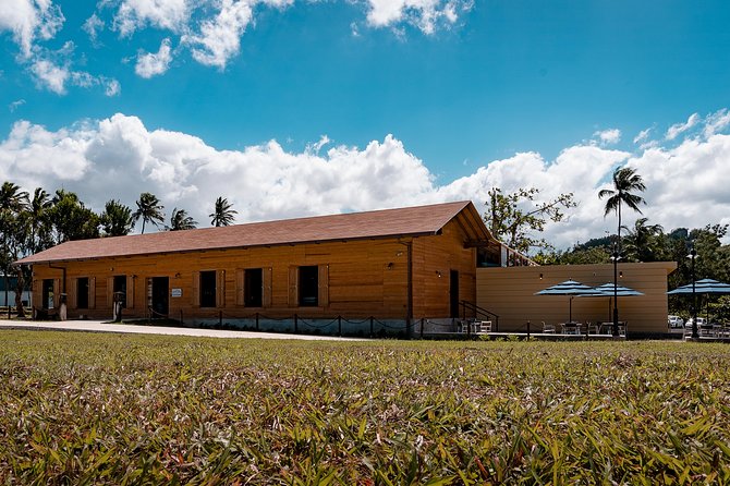 Ron Del Barrilito Heritage Skip-The-Line Tour - Customer Experience and Feedback