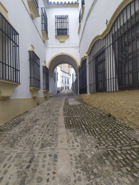 Ronda: 2-Hour Private Walking Tour - Visiting the Mondragón Palace
