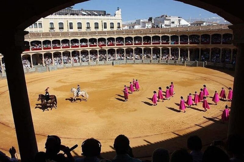 Ronda and Marbella Private Tour From Malaga and Surronds - Itinerary Details