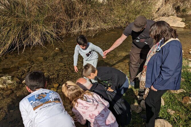 Ronda Nature and Scenic Private Hiking Tour - How Does It Fit into Your Travel Plans?