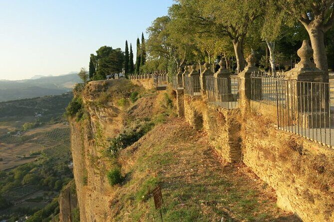 Ronda Nature and Scenic Private Hiking Tour - Who Should Consider This Tour?