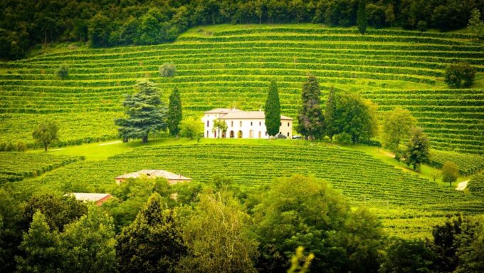 Ronda Winery Tour From Seville - Frequently Asked Questions
