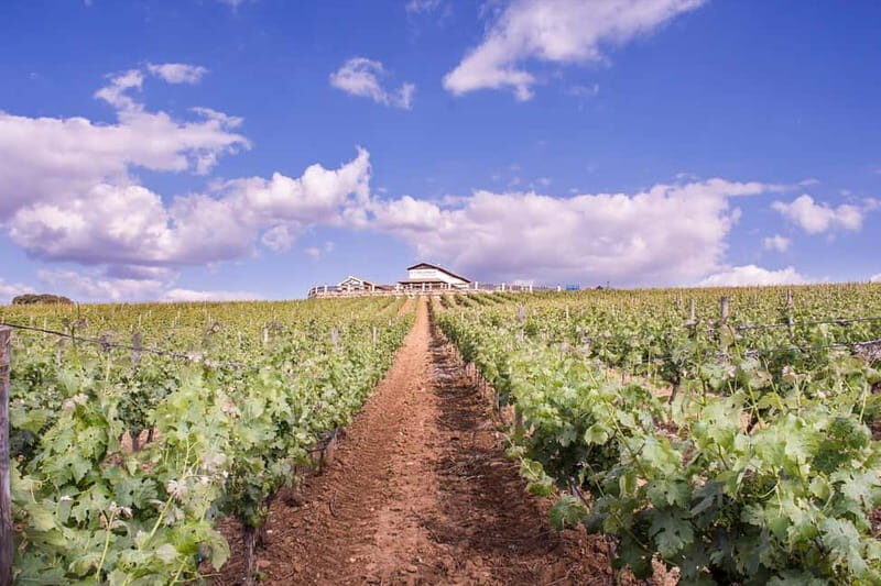 Ronda: Winery Tour with Wine Tasting and Tapas - Key Points