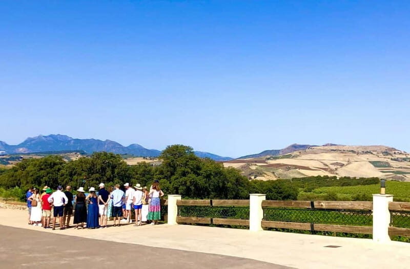 Ronda: Winery Tour with Wine Tasting and Tapas - Discovering Ronda’s Wine Heritage