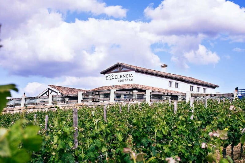 Ronda: Winery Tour with Wine Tasting and Tapas - Who Will Love This Tour?
