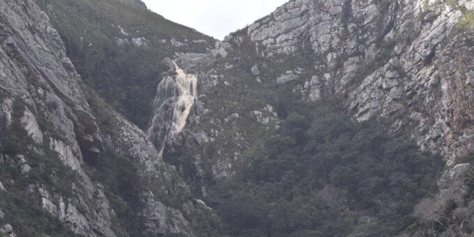 Rooi-Els, Bettys Bay, Stony Point Day Trip From Cape Town - The Sum Up