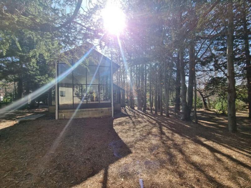 Roos, Blues & Views - Blue Mountains Day Tour w Lunch - An Honest Look at the Blue Mountains Day Tour