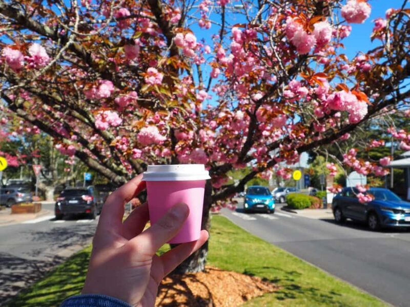 Roos, Blues & Views - Blue Mountains Day Tour w Lunch - Who Will Love This Tour?