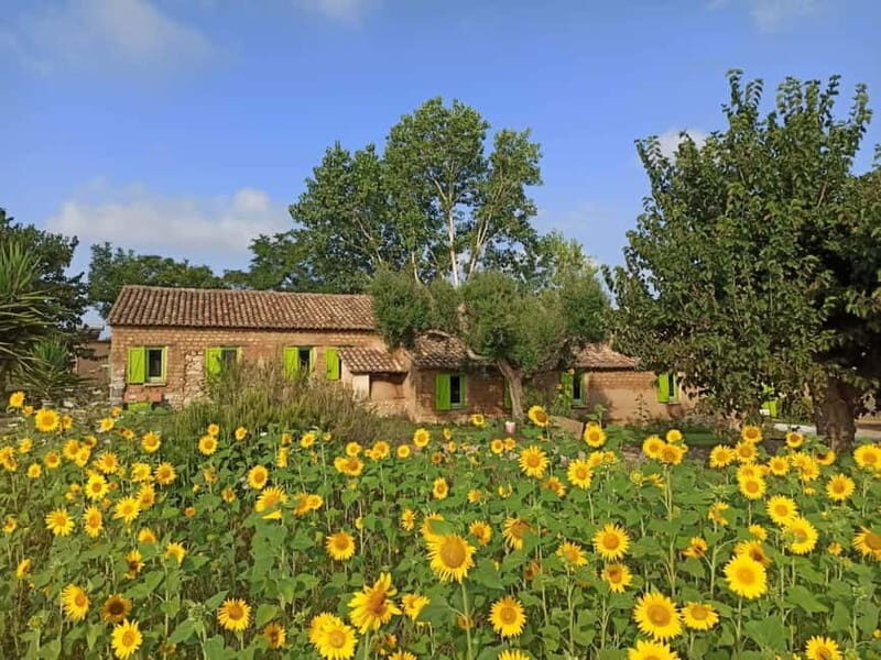 Roots and flavors: Cooking school between tradition and sustainability - An In-Depth Look at the Experience