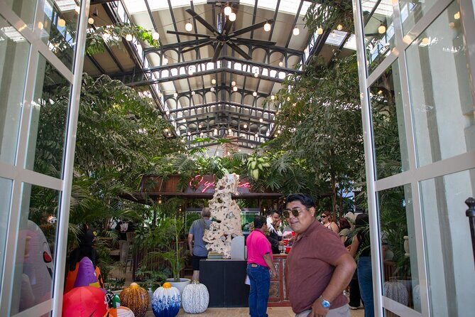 Roots of Baja Magical Town Tour in Todos Santos - Discovering Baja on a Private 5.5-Hour Journey