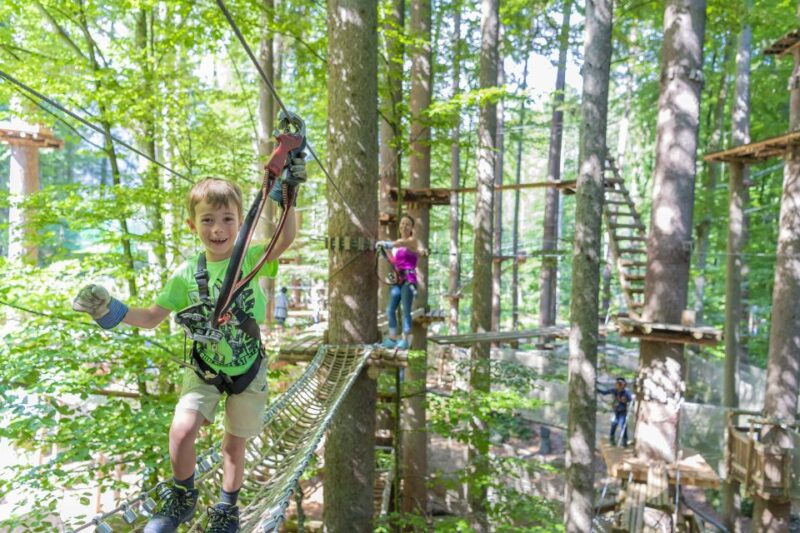 Rope Park Interlaken: Climbing Adventure With Entry Ticket - Adventure Activities Offered