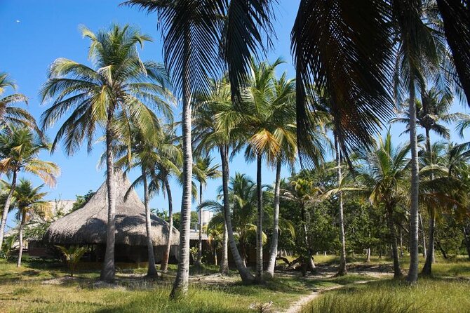 Rosario Islands Private Boat Tour - Good To Know