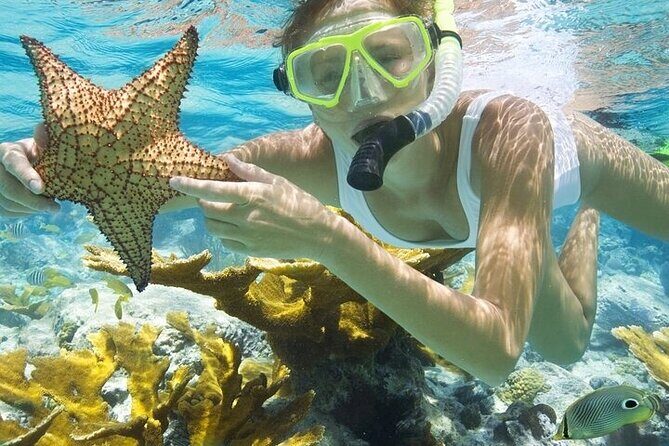 Rose Island Adventure: Snorkel, Sea Turtles, and Private Beach - The Experience: What You’ll Love and What to Consider