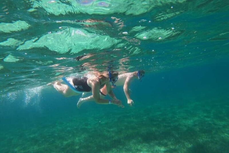 Rose Island Adventure: Turtle, Swim and Snorkel - Key Points