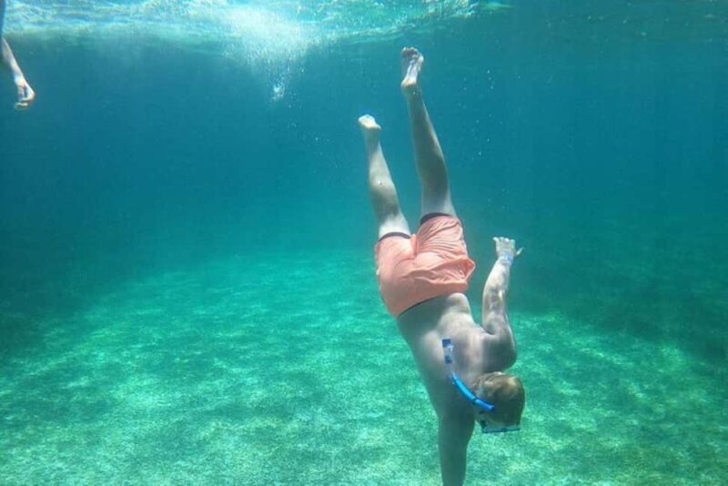 Rose Island Adventure: Turtle, Swim and Snorkel - A Close Look at the Tour Experience