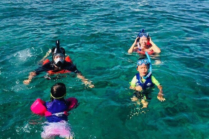 Rose Island Half-Day Snorkeling Cruise - Practical Details and Considerations