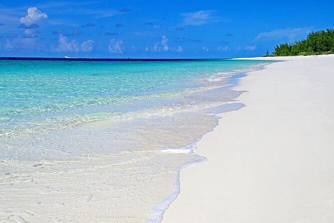 Rose Island Half-Day Snorkeling Cruise - The Sum Up