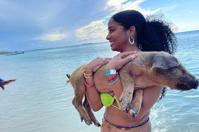 Rose Island Private Beach: Swimming with the Pigs - Key Points