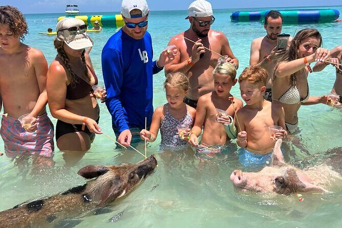 Rose Island Private Beach: Swimming with the Pigs - What Makes This Tour Special?