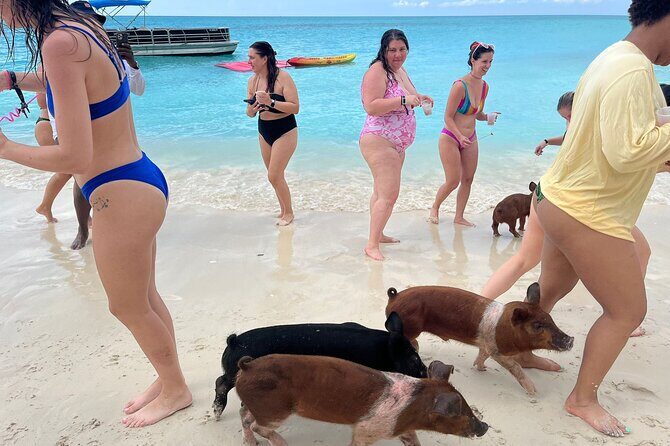 Rose Island Private Beach: Swimming with the Pigs - FAQ