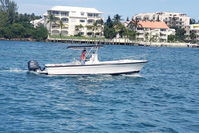 Rose Island: Private Snorkeling, Fishing, and Swimming with Pigs - Practical Details and Value