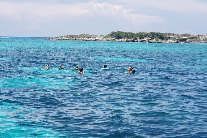 Rose Island: Private Snorkeling, Fishing, and Swimming with Pigs - Final Thoughts on the Experience