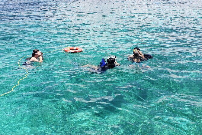 Rose Island: Private Snorkeling, Fishing, and Swimming with Pigs - FAQ