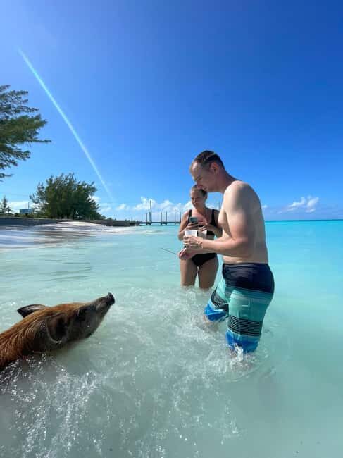 Rose Island: Snorkeling, Swimming Pigs & Unlimited Rum Punch - Who Will Love This Tour?