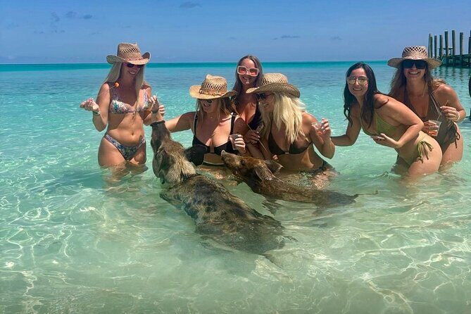 Rose Island Swimming Pigs & Beach Snorkeling Experience Nassau. - Transportation and Group Size