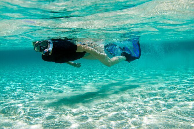 Rose Island Swimming Pigs & Beach Snorkeling Experience Nassau. - The Experience’s Value