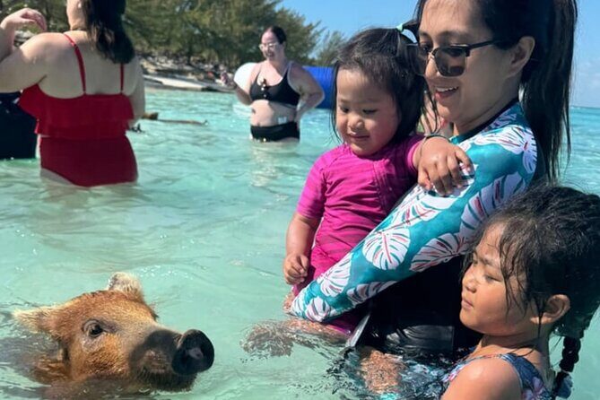 Rose Island Swimming Pigs & Beach Snorkeling Experience Nassau. - Who Should Consider This Tour?