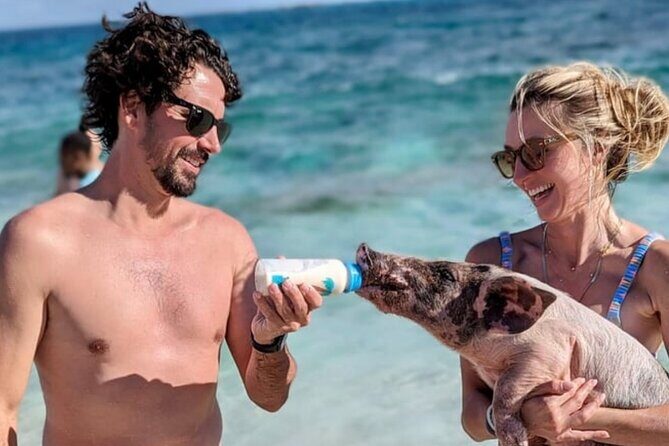 Rose Island Swimming Pigs & Beach Snorkeling Experience Nassau. - FAQ