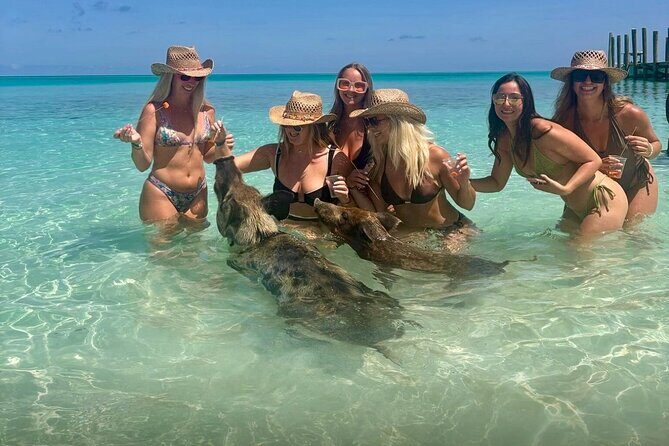 Rose Island Swimming Pigs & Beach Snorkeling Experience Nassau - What’s Included and What’s Not