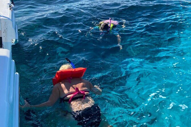 Rose Island Swimming Pigs - Analyzing Value and Cost