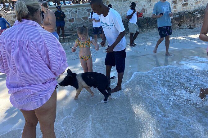 Rose Island Swimming Pigs - Who Would Enjoy This Tour?