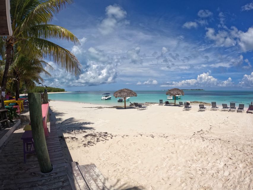 Rose Island: Swimming Pigs, Snorkel and Lunch by Speed Boat - Itinerary Highlights