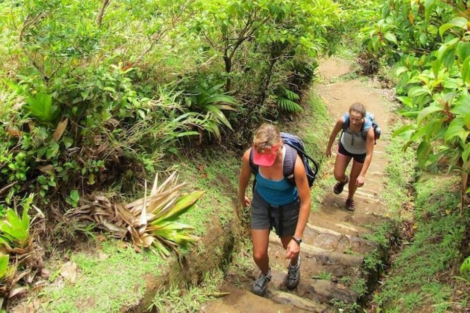 Roseau: Boiling Lake Challenge Hiking Tour With Local Guide - Hiking and Sights