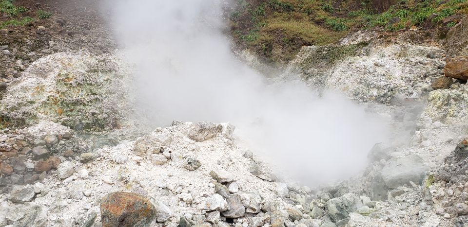 Roseau: Boiling Lake Challenge Hiking Tour With Local Guide - Return to Museum