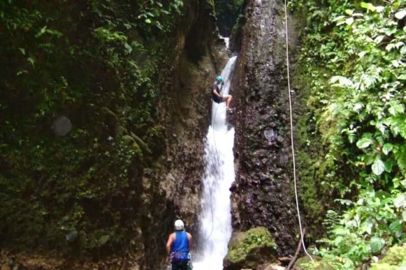 Roseau: Canyoning Discovery Tour - An In-Depth Look at the Canyoning Tour