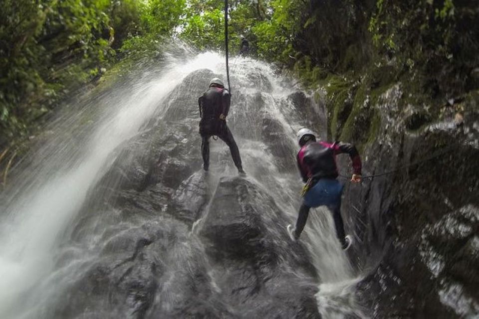 Roseau: Canyoning Discovery Tour - Key Points