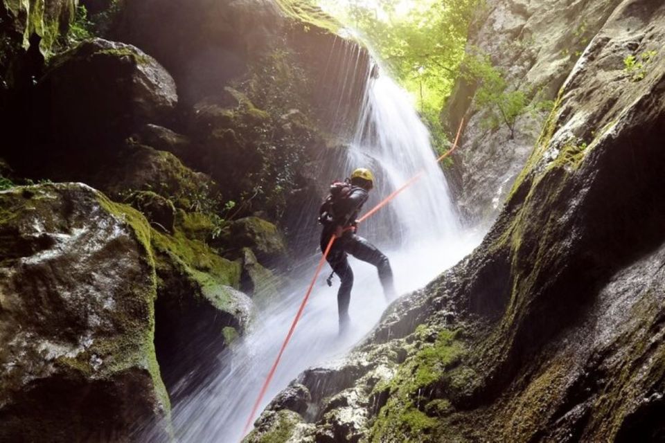 Roseau: Canyoning Discovery Tour - Activities and Highlights