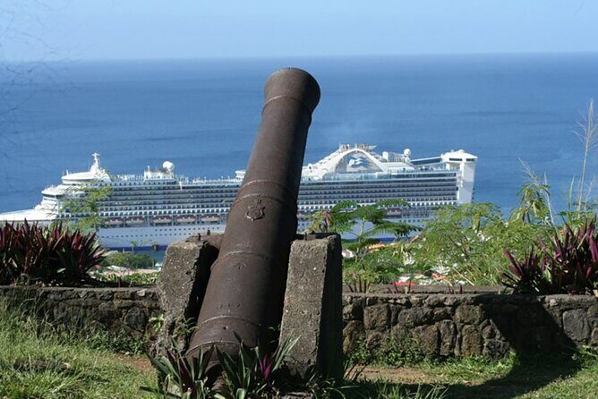 Roseau Dominica Safari Scenic: Rainforest, Falls & Karaoke - The Experience: What Sets It Apart