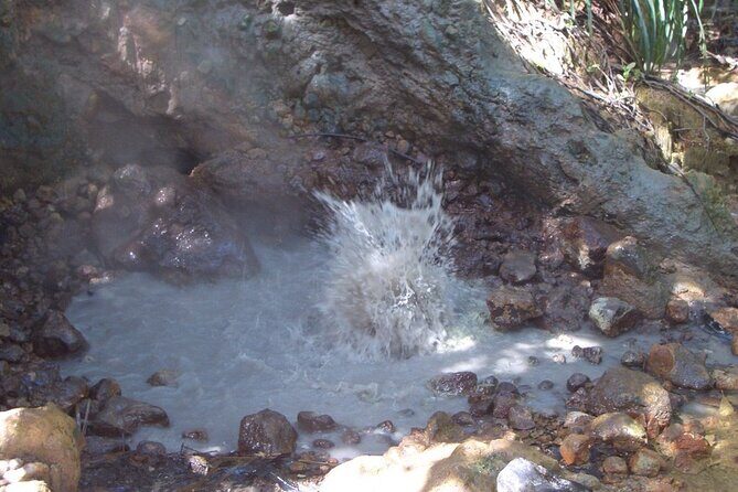 Roseau Dominica Safari Scenic: Rainforest, Falls & Karaoke - Who Should Consider This Tour?