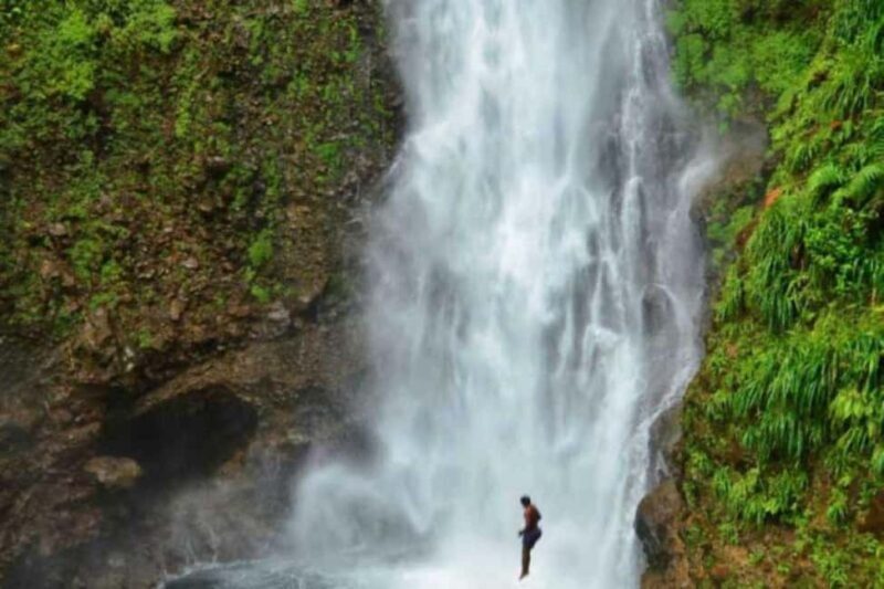 Roseau: Guided Day Trip to Popular Waterfalls - Authentic Experiences and Authentic Guides