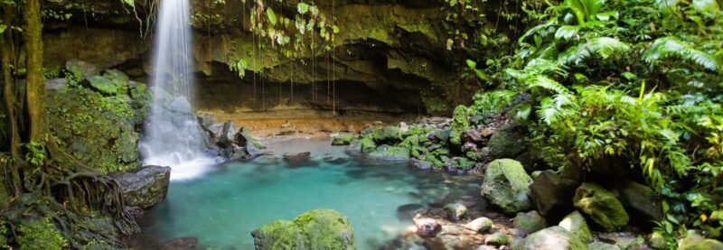 Roseau: Guided Day Trip to Popular Waterfalls - Final Thoughts