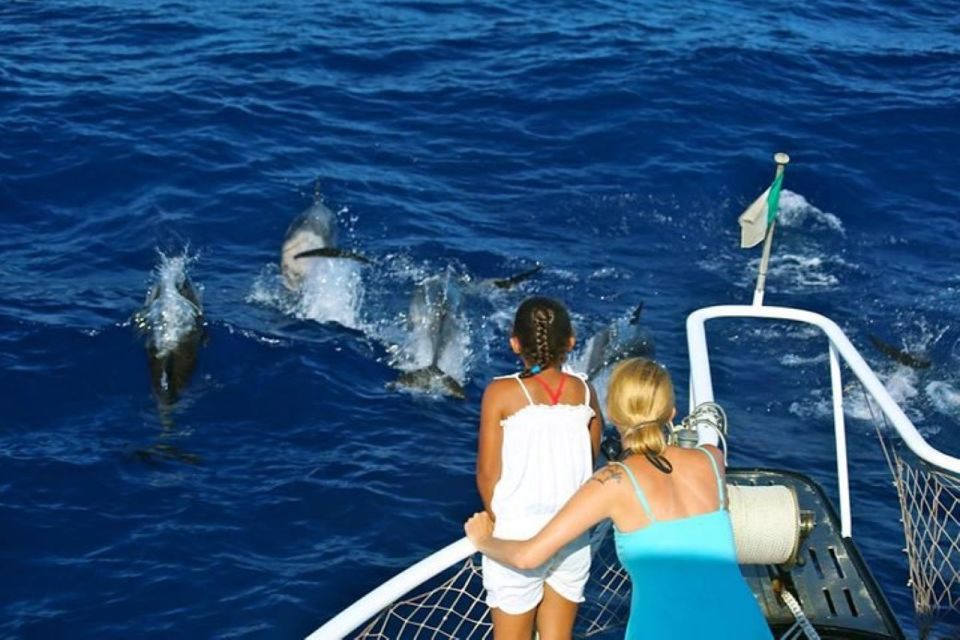Roseau: Guided Dolphin and Whale Watch Tour With Drinks - Highlights of the Whale Watching