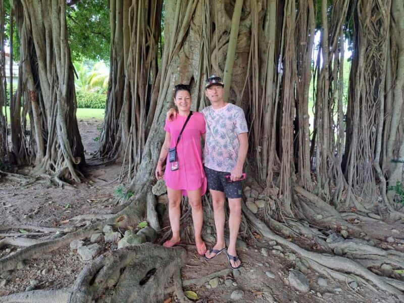 Roseau: Guided Tour with City, Nature, and Beach Options - Key Points