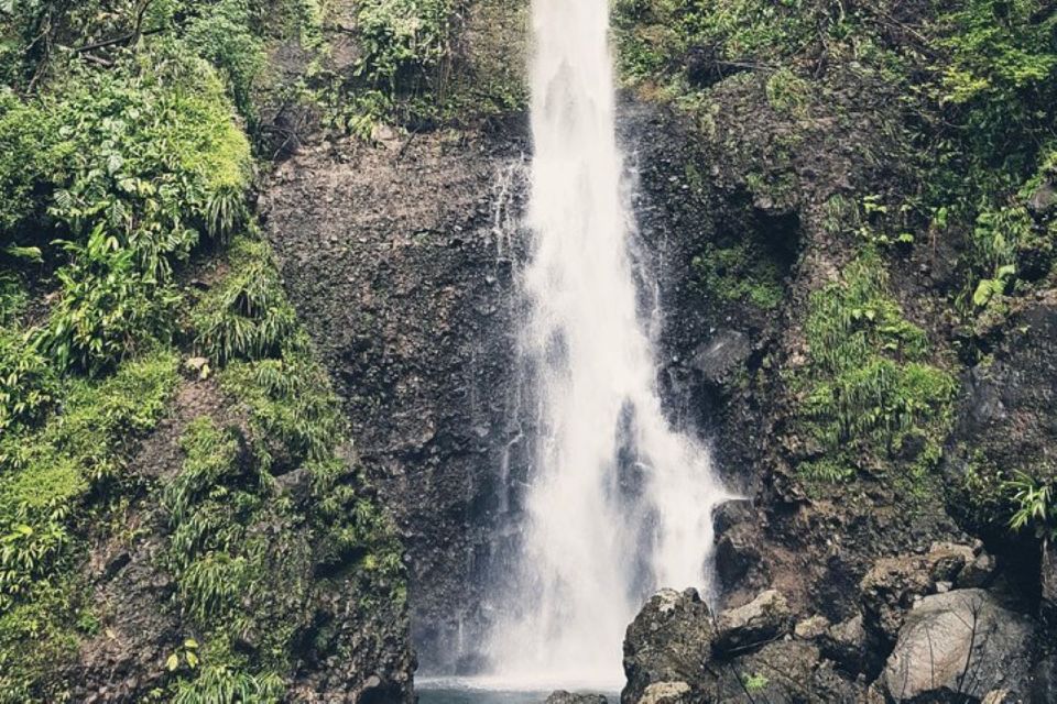 Roseau: Middleham Falls and Titou Gorge Half-Day Hiking Trip - Hiking Through Rainforest Landscapes