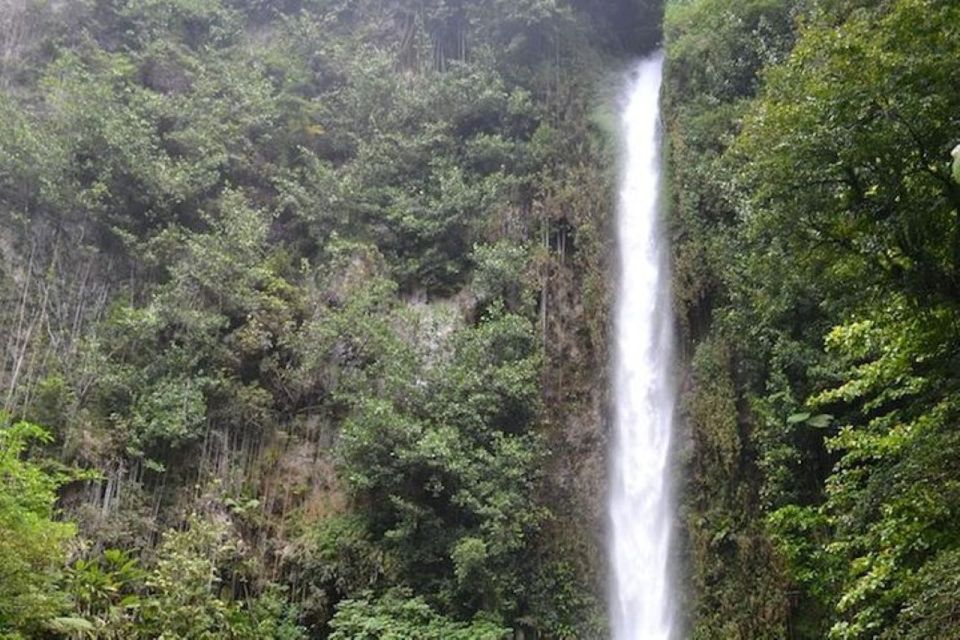 Roseau: Middleham Falls and Titou Gorge Half-Day Hiking Trip - Trip Duration and Inclusions