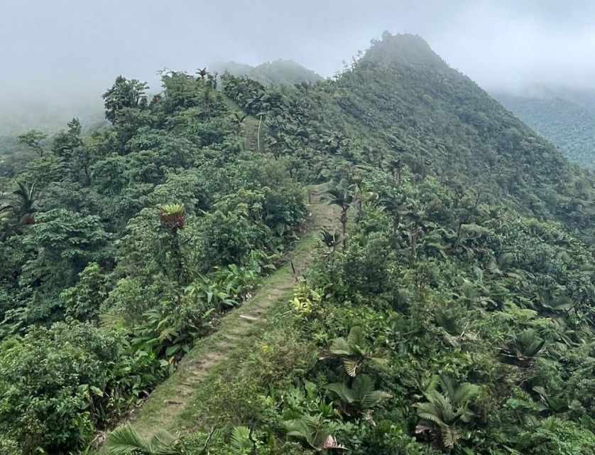 Roseau: Morne Diablotin Hike - Duration and Guide